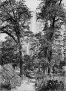 On The Road To The Yosemite Falls by Carleton Emmons Watkins