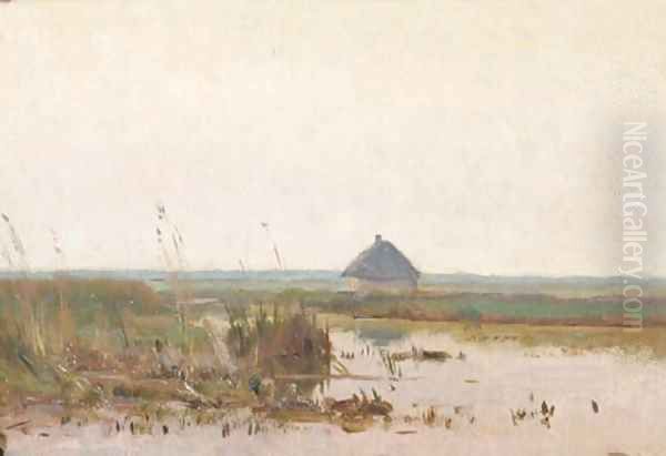 Polder at dusk - view 1