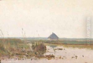 Polder at dusk