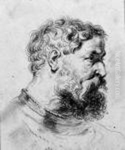 Head Of A Bearded Soldier Turned To The Right, After Sir Peter Paulrubens by Jean-Antoine Watteau