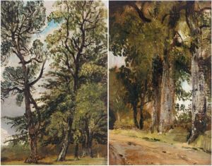 Studies Of Trees