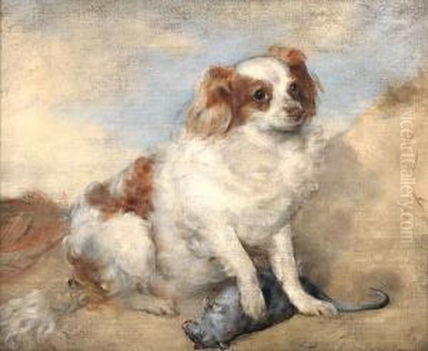 A Spaniel With A Rat - view 1