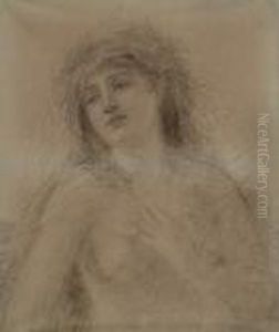 Portrait Of A Young Lady.