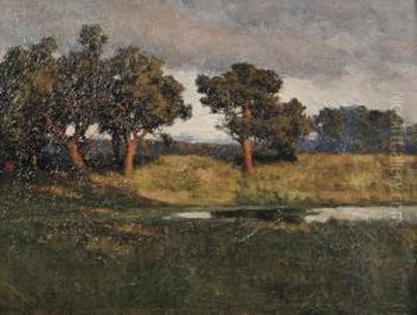 Marshland Landscape - view 1