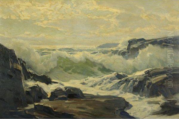 Coast Of Maine - view 1