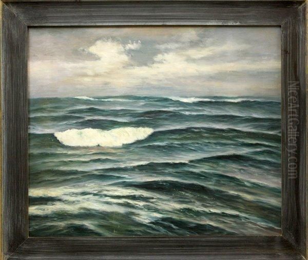 Open Waters - view 1