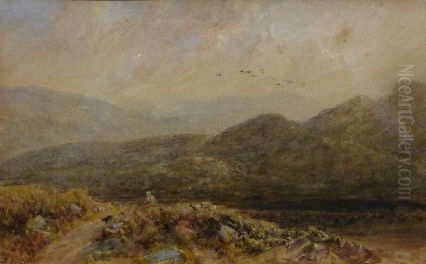 Figure And Sheep On The Moors - view 1