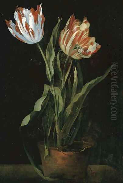 Still life with two variegated tulips in a clay pot - view 1