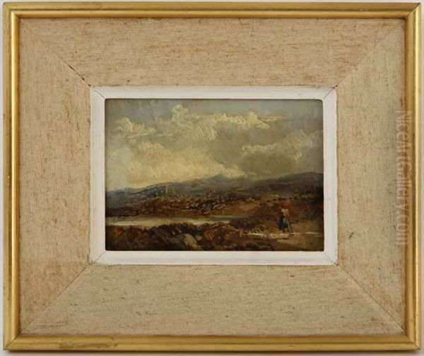 Paysage Cotier Anime - view 1