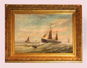 Marine Scene
