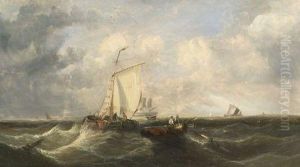 Marine Scene