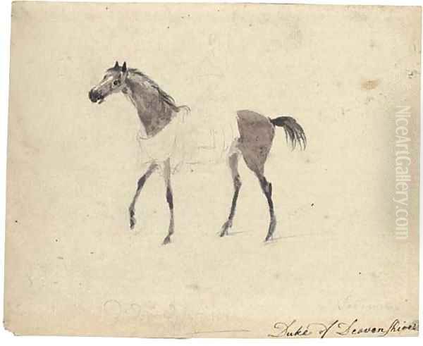 A racehorse in profile to the left - view 1