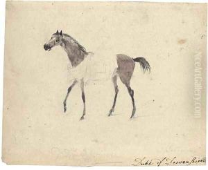 A racehorse in profile to the left