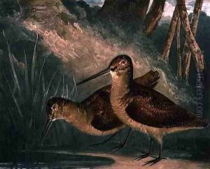 Woodcocks, plate 4 of British Feather Game, engraved by the artist, pub. by R. Ackermann, c.1810 by Charles Turner