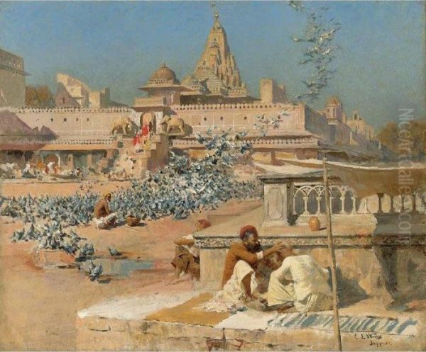 Feeding The Sacred Pigeons, Jaipur - view 1
