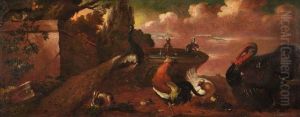 Pfau, Hahn, Henne Und Puter In Einer Parklandschaft