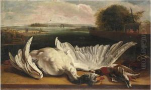 A Dead Swan And A Mallard On A Ledge Before An Extensive Riverlandscape