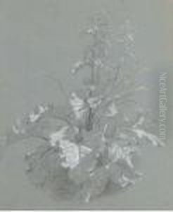 Study Of Wild Flowers by Jan Weenix