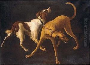 A Spaniel And A Lurcher