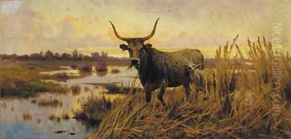 Water Buffalo in the Roman Campagna - view 1