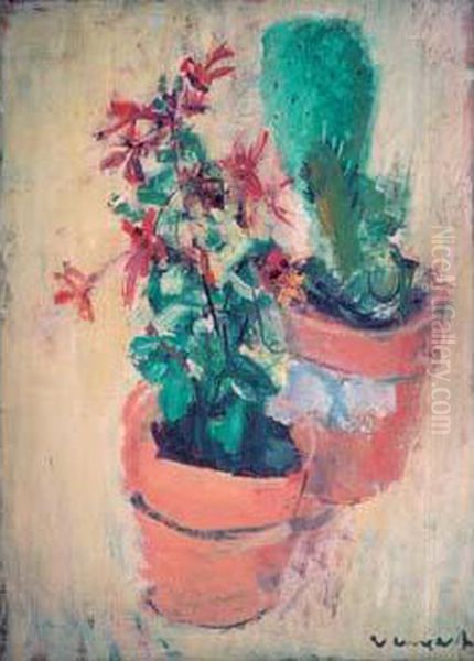Fleurs Et Cactus - view 1