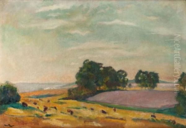 Pejzaz Letni - view 1