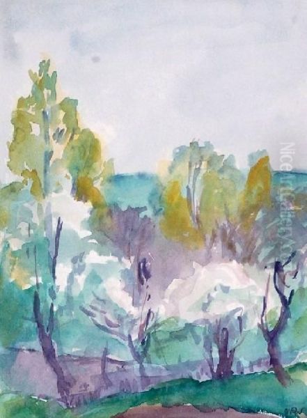Pejzaz Wiosenny - view 1