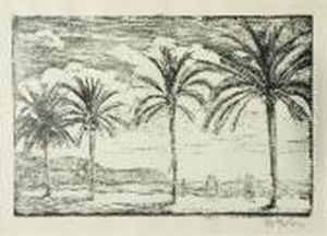 Pejzaz Z Palmami