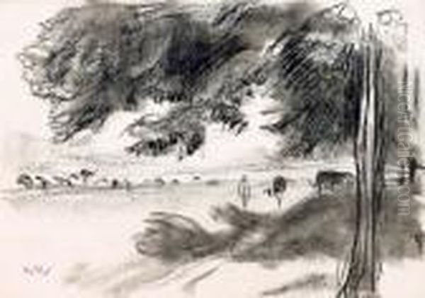 Blonia Krakowskie - view 1