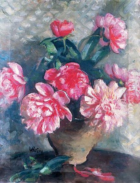 Peonie, Kon. Lat 20. Xx W. - view 1