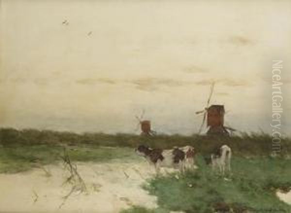 Cows Near The Waterfront By Dusk - view 1