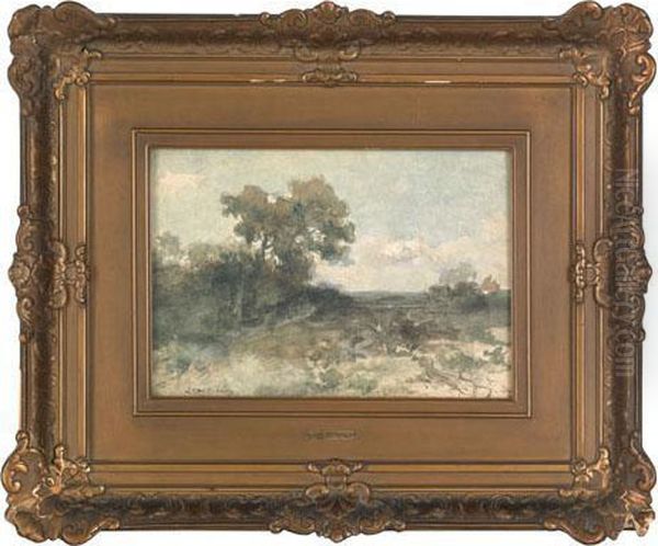 Landscape - view 1