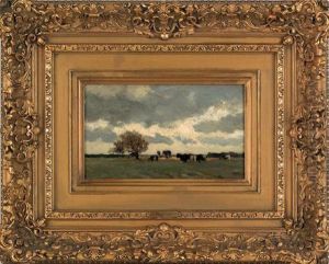 Landscape Landscape