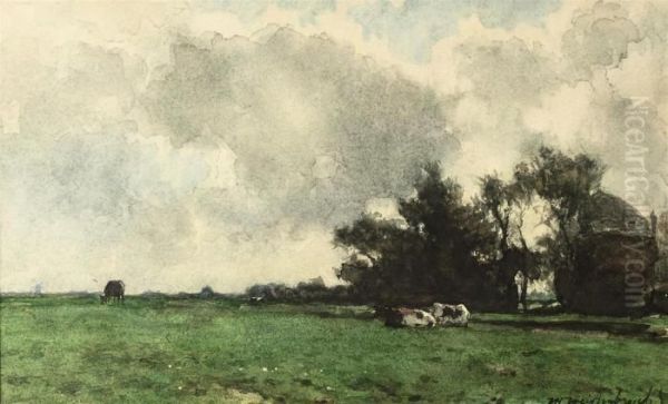 Cows In A Meadow - view 1