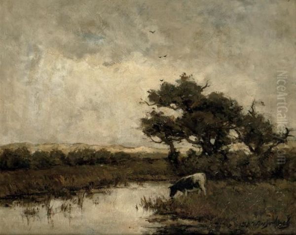 A Cow In The Dunes - view 1