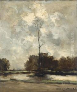 Trees Along A Dutch Canal