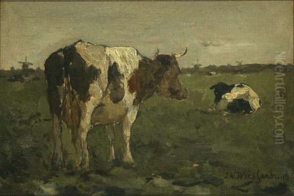 Cows In A Polder Landscape - view 1