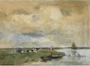 Cows In A Polder Landscape Cows In A Polder Landscape