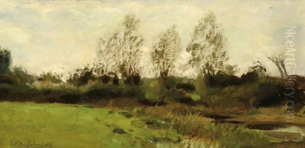 Landscape - view 1