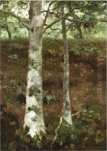 Sous-bois