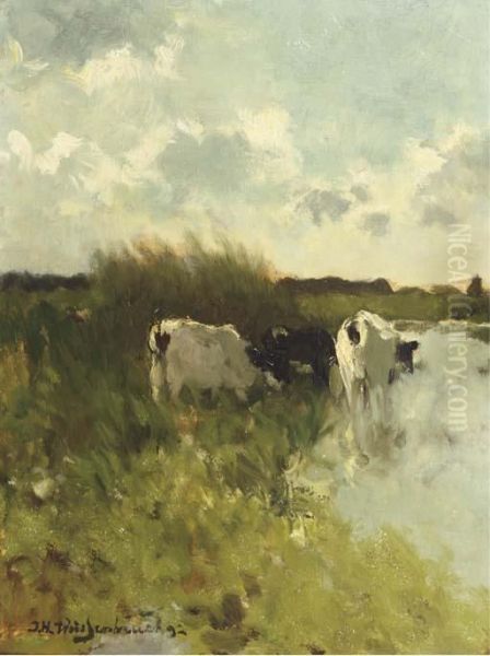 Summer In The Polder - view 1