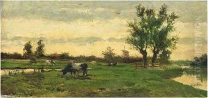 A Polder Landscape With Grazing Cows