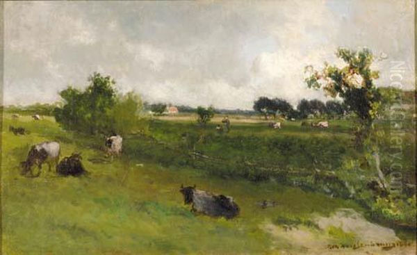 Grazing Cows In A Polder Landscape - view 1