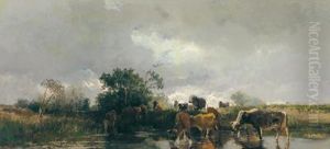 Cows At The Water