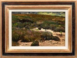 Landschaftsstudie Mit Bluhender Heide