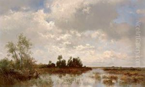 Paesaggio Palustre Con Mucche Che Pascolano