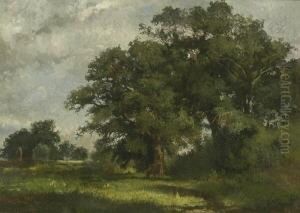 Baumlandschaft.