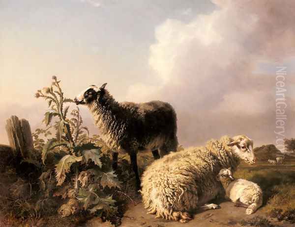 Les Moutons - view 1