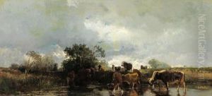 Mucche Presso L""""acqua