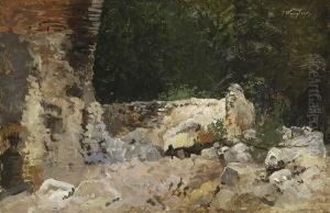 Ruine Eines Bauernhauses. by Joseph Wenglein